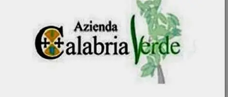 Calabria Verde: allestito il nuovo piano anti incendi