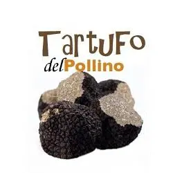 Castrovillari: firma del protocollo d'intesa sul tartufo del Pollino