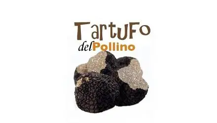 Castrovillari: firma del protocollo d'intesa sul tartufo del Pollino