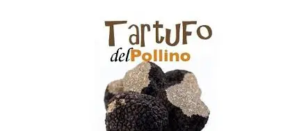 Castrovillari: firma del protocollo d'intesa sul tartufo del Pollino