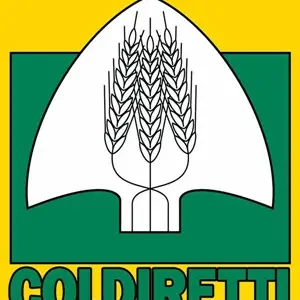 Alluvione Rossano, Coldiretti: 'La Regione attinga ai fondi comunitari'