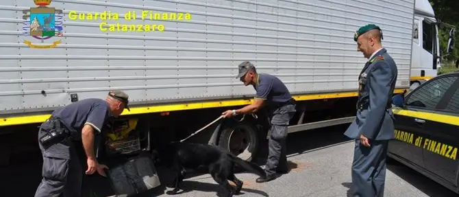 Eroina nascosta in un camion a Lamezia: un arresto
