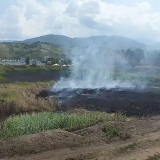 Incendi nell'ex stabilimento Legnochimica di Rende: pericolo inquinamento