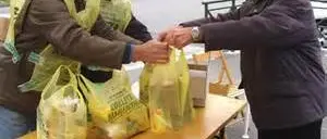 COLLETTA ALIMENTARE, NEL VIBONESE RACCOLTE SETTE TONNELLATE DI VIVERI