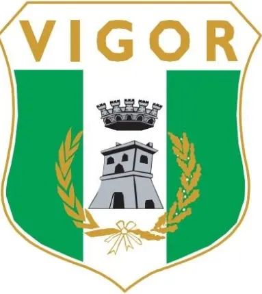 Vigor, Mascaro chiede rinvio