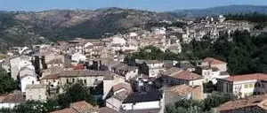 BOTTE DA ORBI PER UNA DONNA, TRE PERSONE IN OSPEDALE E POI AI DOMICILIARI