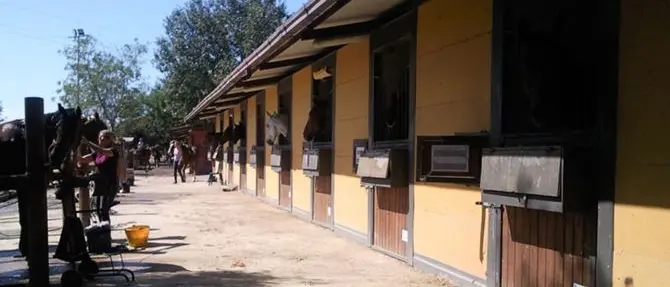 Scoperto maneggio abusivo all’interno del Parco Nazionale d’Aspromonte