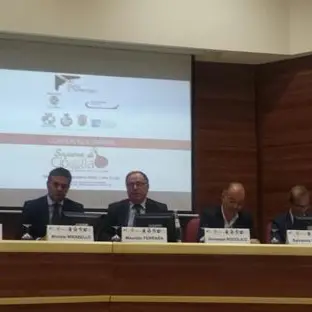 Expo e territori: presentato il Progetto ‘Sapere di Cipolla’ VIDEO