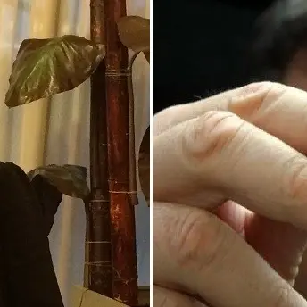 Stop prezzi alti assicurazioni auto in Calabria. Passa un emendamento della Bruno Bossio