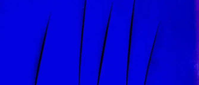 Il MACA di Acri aderisce alla Giornata del Contemporaneo