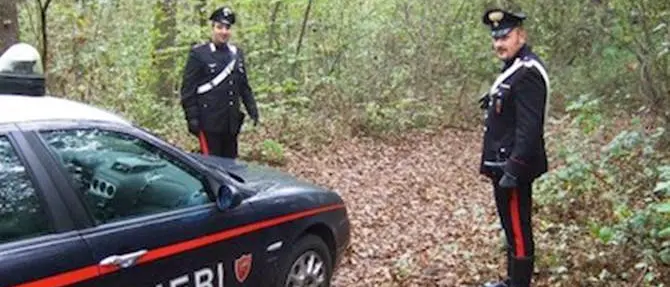 Nardodipace (VV), dispersa e ritrovata sessantaquattrenne che era alla ricerca di funghi