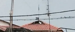 Maltempo: fulmine colpisce campanile chiesa di Cinquefrondi, sul posto i vigili del fuoco