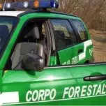Rende, costruzioni abusive in un bosco: cinque denunce