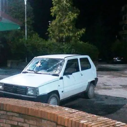 Sparatoria nel vibonese, tra i feriti una donna incinta e una bambina di cinque anni VIDEO