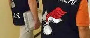 NAS IN AZIONE A CASSANO, SEQUESTRATO STABILIMENTO ALIMENTARE