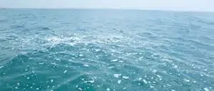 TIRRENO, IL PROCURATORE DI PAOLA: MASSIMA ATTENZIONE SU DEPURAZIONE