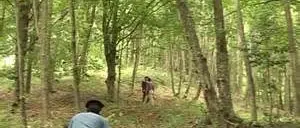 PROCESSO LUCE NEI BOSCHI, OTTO CONDANNE IN APPELLO A CATANZARO