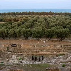 Catanzaro: giornate di primavera con il Fai nel parco Skylletion