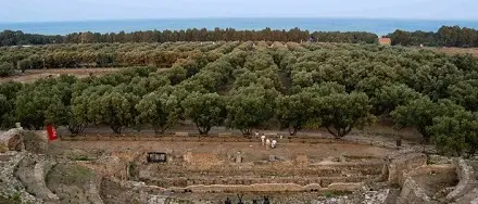 Catanzaro: giornate di primavera con il Fai nel parco Skylletion