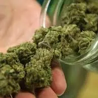 NASCONDEVANO DROGA IN CASA, TRE ARRESTI NEL CROTONESE