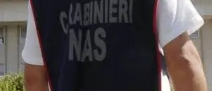 CONTROLLI DEI NAS NEGLI STABILIMENTI BALNEARI, 65 ISPEZIONI IN CALABRIA