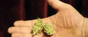 DROGA, PIZZAIOLO FERMATO DAI CARABINIERI A FALERNA