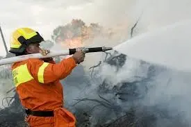 INCENDI BOSCHIVI, ANCORA FIAMME IN CALABRIA E CAMPANIA