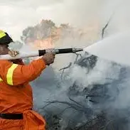 CALABRIA: E’ ALLARME INCENDI. DISTRUTTI CENTINAIA DI ETTARI DI BOSCO