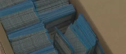 REGIONALI: ASSOCIAZIONI ESULTANO DOPO LA SENTENZA DEL TAR CHE HA IMPOSTO DI FISSARE LA DATA DEL VOTO