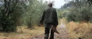 MENDICINO: CACCIATORE “IRREGOLARE” DENUNCIATO DAL CORPO FORESTALE