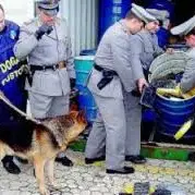 MAXI SEQUESTRO DI DROGA AL PORTO DI GIOIA, ERA NASCOSTA IN UN CONTAINER PROVENIENTE DAL BRASILE