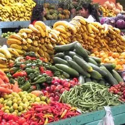 SICUREZZA ALIMENTARE: CONTROLLI A TAPPETO A CATANZARO