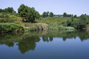 Reggio, nuove minacce al presidente del Parco nazionale dell'Aspromonte