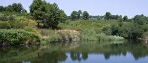 Reggio, nuove minacce al presidente del Parco nazionale dell'Aspromonte