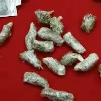 Droga, un arresto e tre denunce a Cosenza