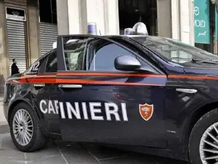 LA 'NDRANGHETA DIETRO IL SEQUESTRO COLUCCIO