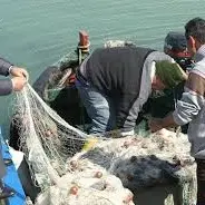 NICOTERA PROTESTANO I PESCATORI