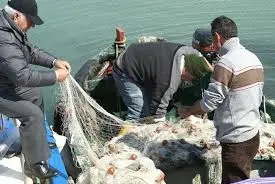 NICOTERA PROTESTANO I PESCATORI