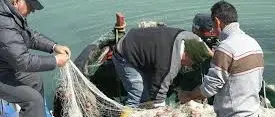 NICOTERA PROTESTANO I PESCATORI