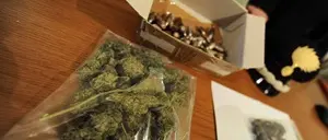 Droga, un arresto a Vibo Valentia