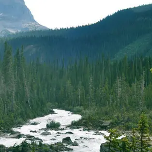 Niente stipendi, forestali pronti a scioperare