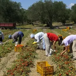 Eurispes: in aumento il sommerso in Calabria