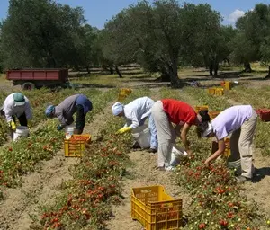 Eurispes: in aumento il sommerso in Calabria