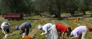 Eurispes: in aumento il sommerso in Calabria