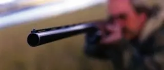 Spara due colpi di fucile e ferisce cane, denunciato