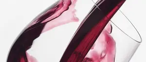 Sei vini calabresi tra le migliori etichette italiane