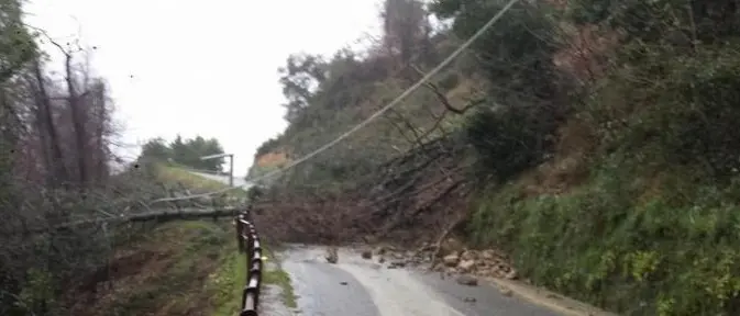 Maltempo: danni e disagi in Calabria, scuole chiuse in molti comuni