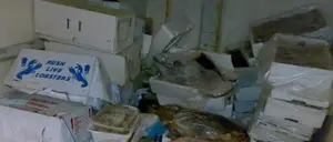 Pesca: sequestrati nel cosentino oltre 30 kg pesce