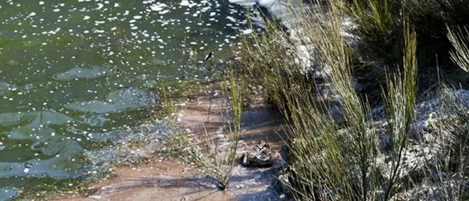 Ambiente: comitato 'Pro Serre', 'silenzio su scorie radioattive'