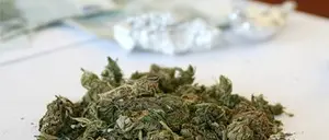 Droga: marijuana in casa, giovane arrestato a Reggio